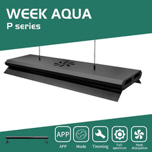 Load image into Gallery viewer, Week Aqua P1200PRO

